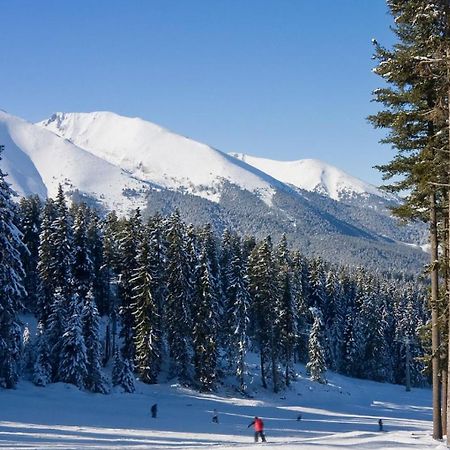 Skiing, Walking, Enjoying In Mountains Bansko Ngoại thất bức ảnh