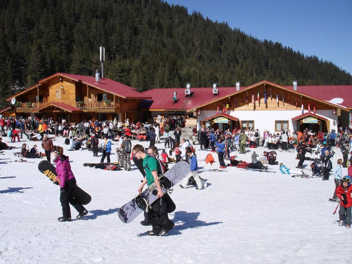 Skiing, Walking, Enjoying In Mountains Bansko Ngoại thất bức ảnh
