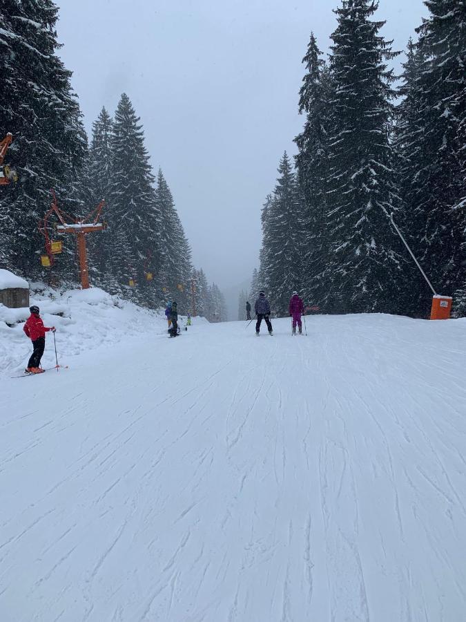 Skiing, Walking, Enjoying In Mountains Bansko Ngoại thất bức ảnh
