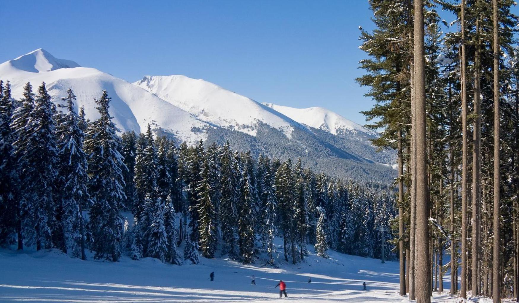 Skiing, Walking, Enjoying In Mountains Bansko Ngoại thất bức ảnh