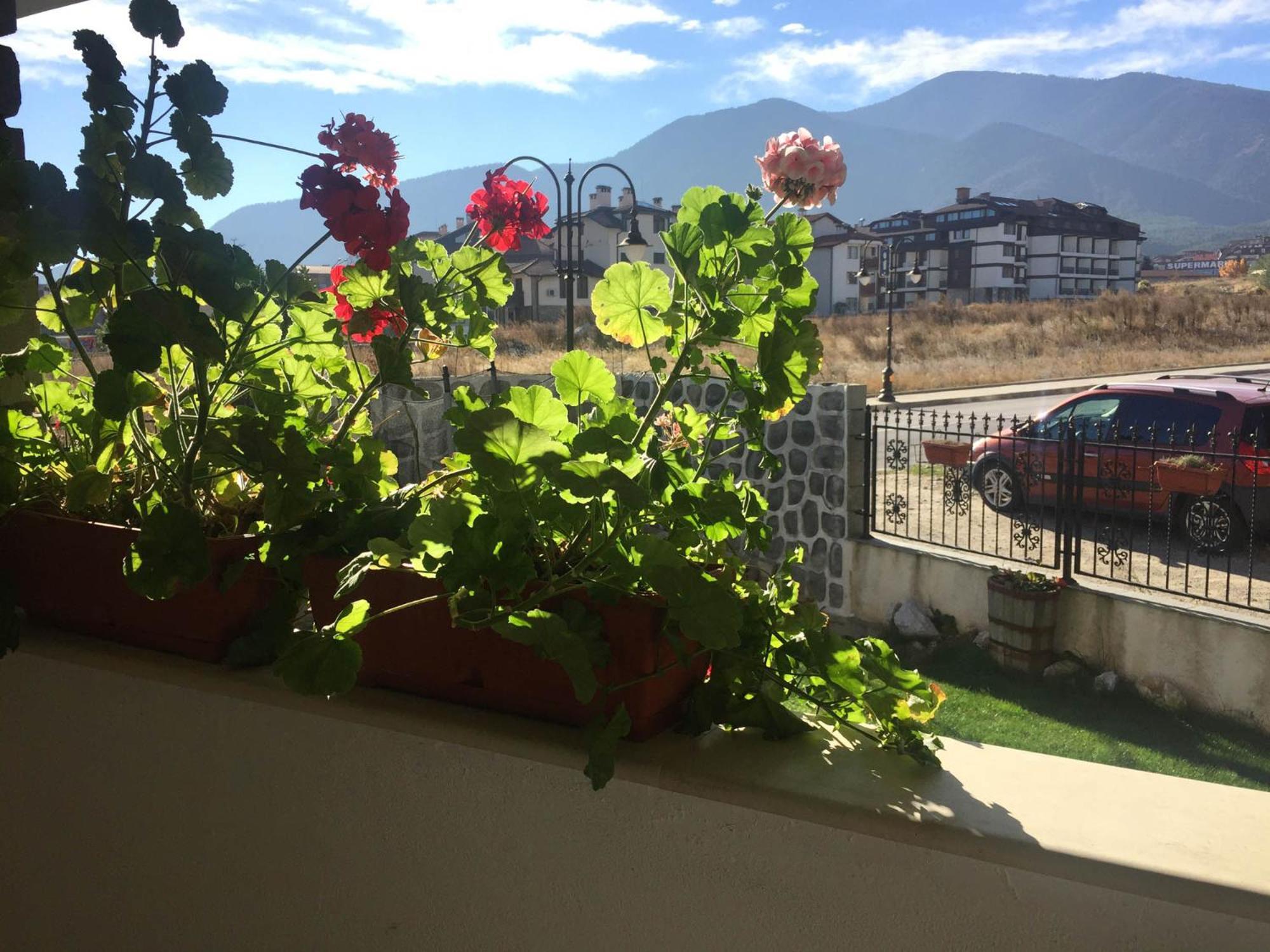 Skiing, Walking, Enjoying In Mountains Bansko Ngoại thất bức ảnh