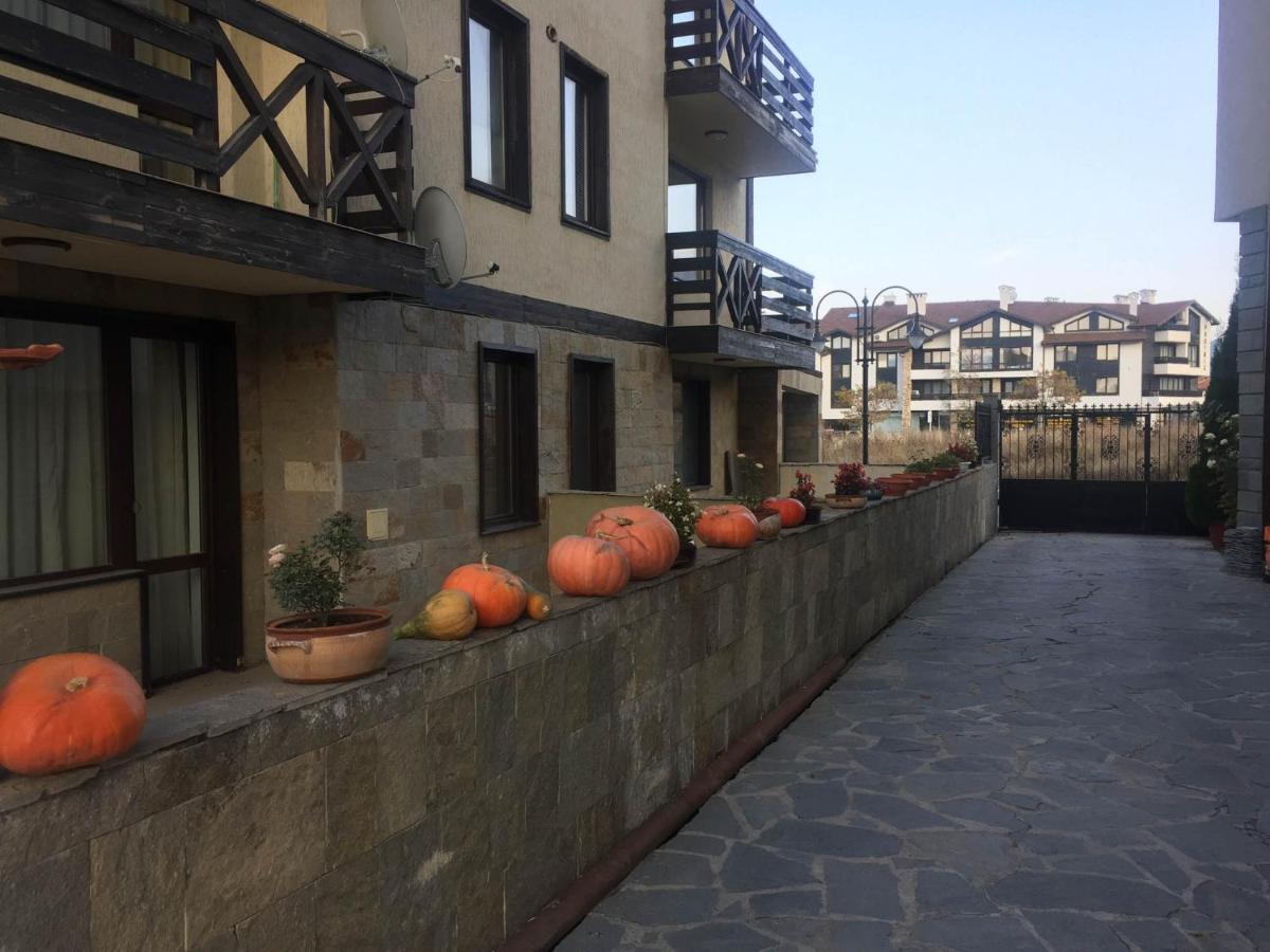 Skiing, Walking, Enjoying In Mountains Bansko Ngoại thất bức ảnh
