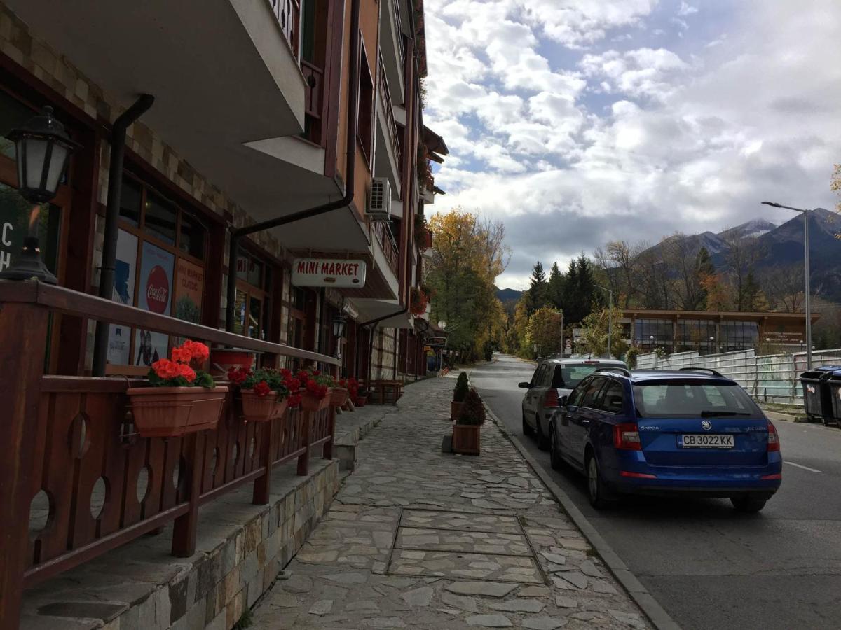 Skiing, Walking, Enjoying In Mountains Bansko Ngoại thất bức ảnh