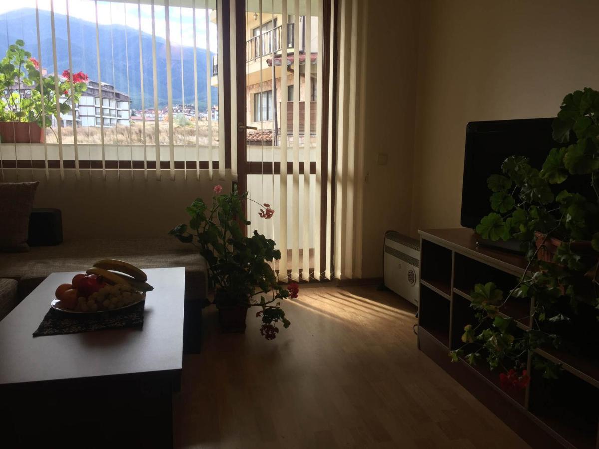 Skiing, Walking, Enjoying In Mountains Bansko Ngoại thất bức ảnh